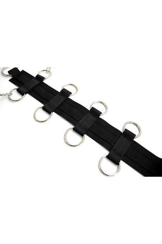 Neck-to-waist Body Harness Restraint with Removable Waist Belt