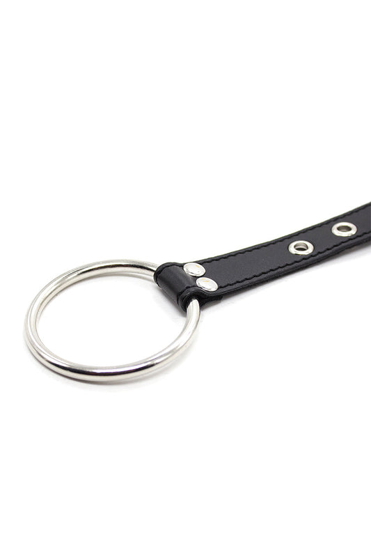 Nipple Clamps with Penis Ring Set