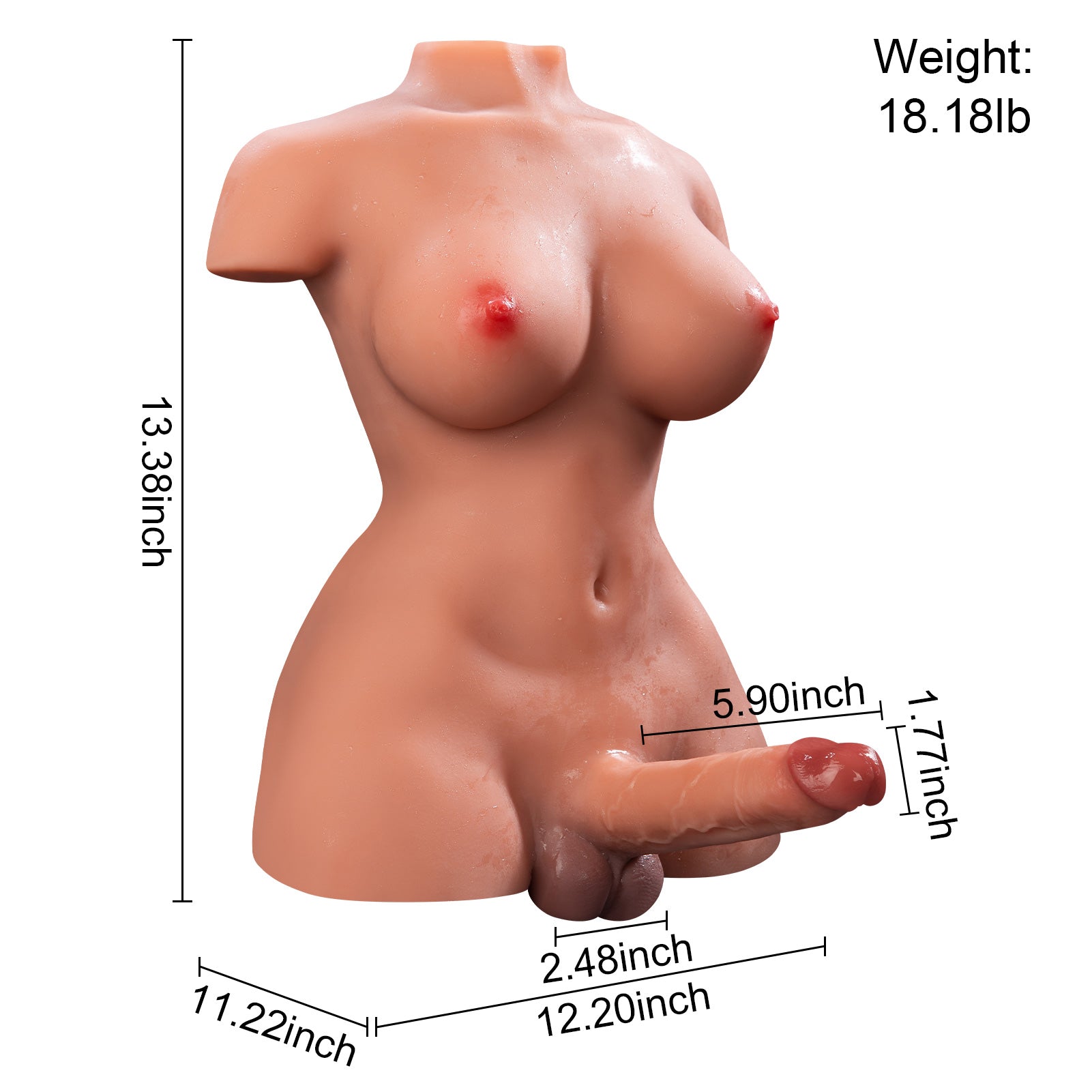 Realistic Trans Torso Sex Doll Thrusting