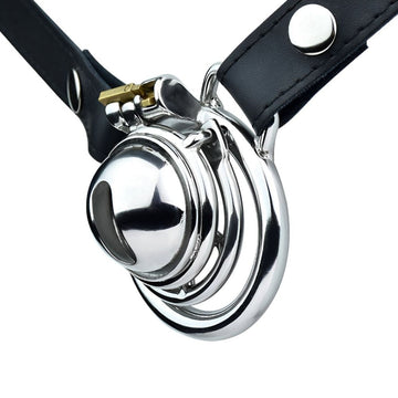 Small Lockable Stainless Steel Penis Cage BDSM Male Chastity Device