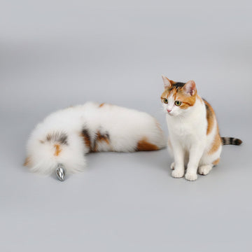 Cosplay Kitten Cat Tail Butt Plugs and Ear Set