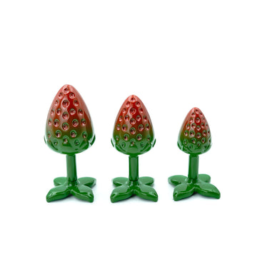 Metal Strawberry Cut Butt Plug Anal Training Kit
