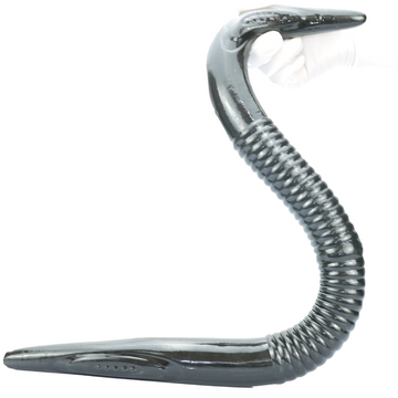 30 Inch Grey Moray Double Head Dildo