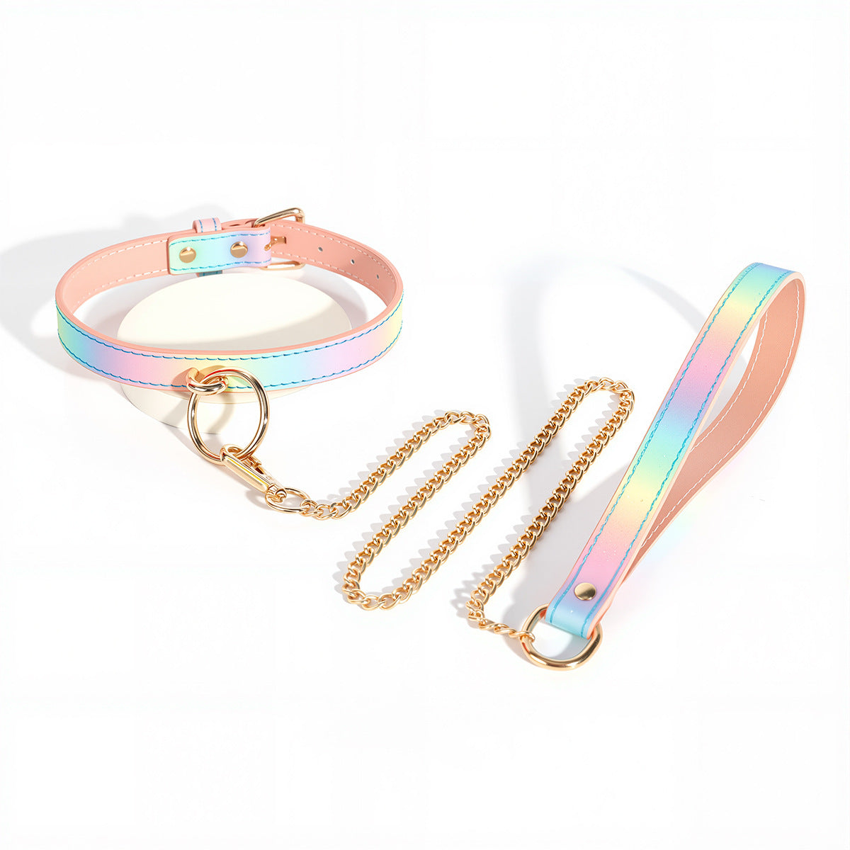Rainbow Training With Leash BDSM Collar