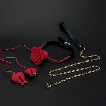 Rose Ball Gag with Vibrating Nipple Clamps Toy